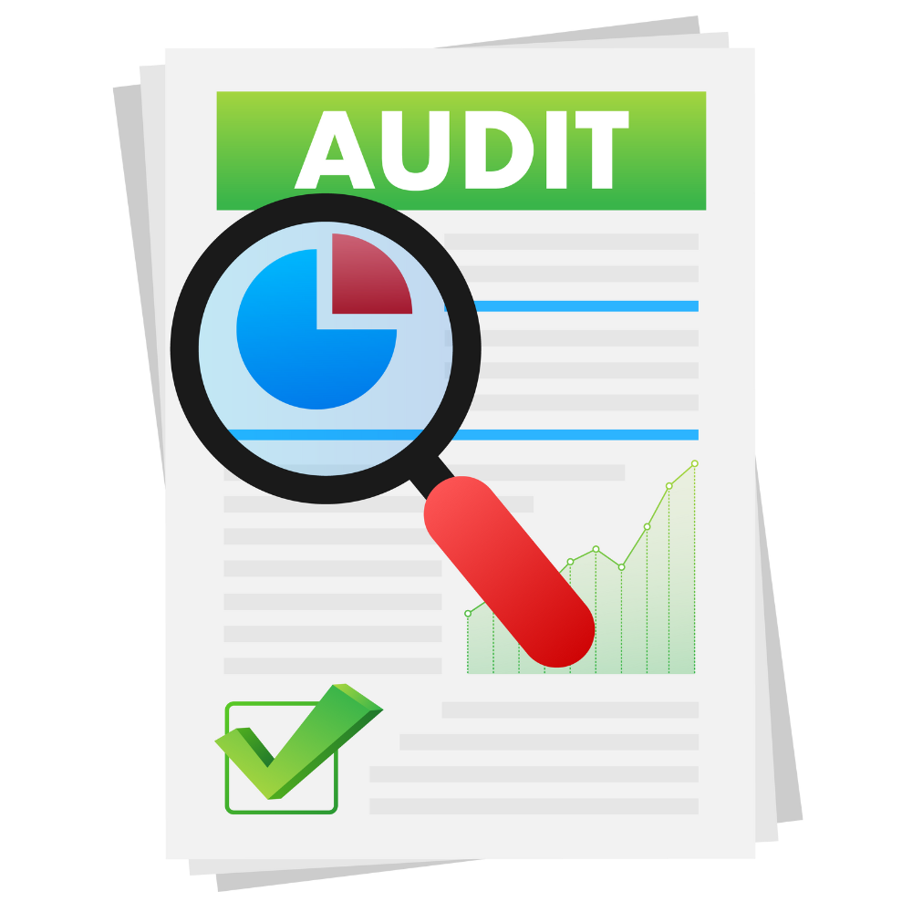 Audits - RLDigiCom